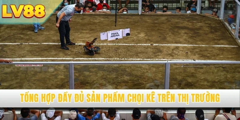 Tổng hợp đầy đủ sản phẩm chọi kê trên thị trường